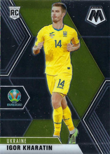 Load image into Gallery viewer, #190 Igor Kharatin RC - Ukraine
