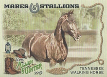 Load image into Gallery viewer, 2019 Topps Allen & Ginter MARES & STALLIONS Cards ~ Pick your card - HouseOfCommons.cards