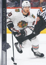 Load image into Gallery viewer, 2020-21 Upper Deck Hockey SERIES 1 (1-100) ~ Pick your card