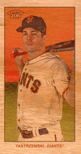 Load image into Gallery viewer, 2023 Topps T206 Low Series WOOD STOCK Variations ~ PR 20
