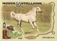 2019 Topps Allen & Ginter MARES & STALLIONS Cards: #MS-1 Arabian Horse