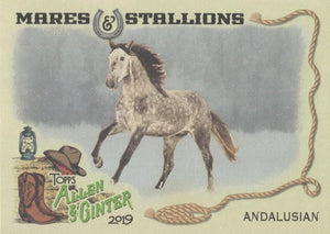 2019 Topps Allen & Ginter MARES & STALLIONS Cards ~ Pick your card - HouseOfCommons.cards