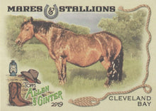 Load image into Gallery viewer, 2019 Topps Allen &amp; Ginter MARES &amp; STALLIONS Cards ~ Pick your card - HouseOfCommons.cards
